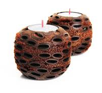 Alpine Life Banksia Seed Balls tealight candle holders 